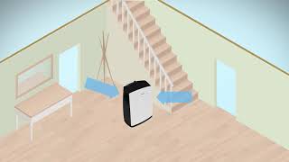 Dehumidifiers How do they work [upl. by Anaujit]