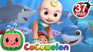 Baby Shark More Nursery Rhymes amp Kids Songs Cocomelon ABCkidTV [upl. by Dalury]