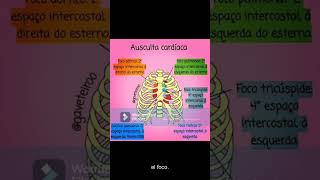 PUNTOS DE AUSCULTACIÓN CARDÍACA [upl. by Ahserak]