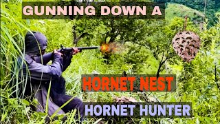 GUNNING DOWN A HORNETSWASP NEST  Hornet Hunter  WASP NEST REMOVAL  Edited [upl. by Milstone]