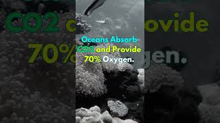 quotWhy Our Oceans are Sending us SOSquot MarineEcosystem Oceans Endangered ytshorts [upl. by Llewxam577]