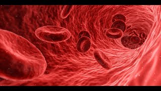 Episode 65  Low Hemoglobin Levels Dont stuff yourself with Iron Tablets [upl. by Horn]