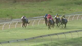 Yeppoon 20241102 Race 5 [upl. by Vez921]