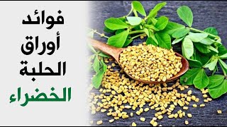 فوائد أوراق الحلبة الخضراء  تعرف عليها [upl. by Trish]