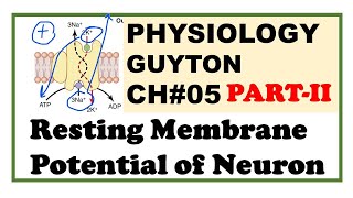 Chapter5PartII  Resting Membrane Potential  Guyton Physiology  Dr Asif Lectures [upl. by Sandi]