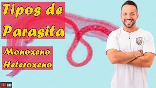 Tipos de Parasita  Monoxeno e Heteroxeno  Parasitologia  Programa de Saúde [upl. by Melania]