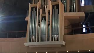 Fuge FDur Johann Pachelbel  Organ in Cathedral 1982024 Yamamoto Kanako [upl. by Dyl]