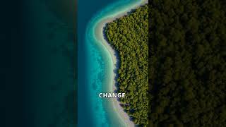 Mangroves CoastalProtection ClimateChange [upl. by Lessard]