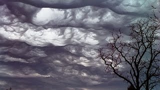 Undulatus asperatus Асператусы в небе [upl. by Sivatnod]