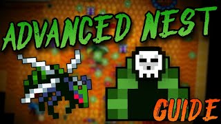 Advanced Nest Guide Rotmg [upl. by Tneciv]