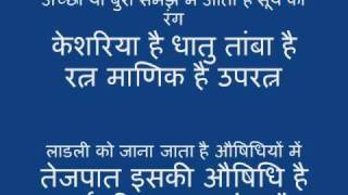 The Sun in Astrology Hindi [upl. by Aralk500]