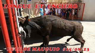 FETE de MAUGUIO longue et enciero du 15082023 [upl. by Anitniuq]