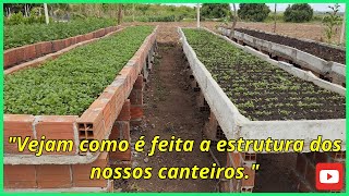 quotVejam como é feita a estrutura dos nossos canteirosquot agro [upl. by Ahseinad]