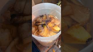 Banana Water in the Garden 🍌🪴 garden gardening gardentips [upl. by Christoffer]