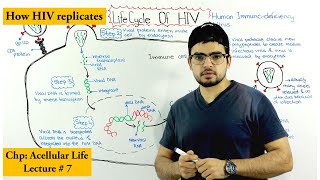 Life cycle of HIV human immunodeficiency virus [upl. by Jessalin]