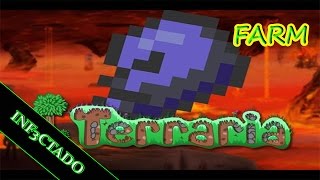 Como fazer uma farm de obsidian no TerrariaPC [upl. by Enrobyalc536]