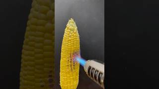 Powerful Lighter vs Corn [upl. by Kirstyn]