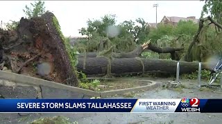 Widespread damage reported in Tallahassee after severe storms possible tornado tears through area [upl. by Loydie802]