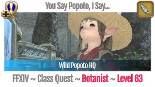 FFXIV Botanist Quest Level 63  Stormblood  You Say Popoto I Say Wild Popoto HQ [upl. by Nnaeitak823]