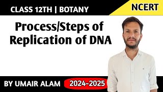 Process of Replication of DNA [upl. by Atiloj]