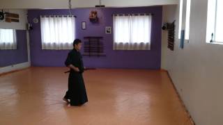 Seitei Iaido Kata 9 [upl. by Imelda73]