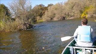 Canoe Trip Down the Tuolumne River [upl. by Chet924]