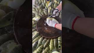 Best Puffer fish for food Fisherman pufferfish puffer fish short reel EP8 [upl. by Estele]