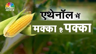 Ethanol Price Revision Pending गन्ने के रस को छोड़ मक्के से एथेनॉल बनाने पर सरकार का जोर [upl. by Eimaj]