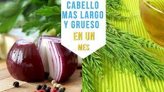 Máximo CRECIMIENTO DEL CABELLO CON CEBOLLA  Champú de cebolla para crecer más rápido el cabello [upl. by Yelsha]