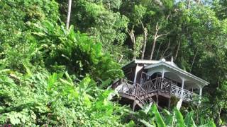 The Best EcoResort in Saint Lucia Fond Doux Plantation [upl. by Marcela]