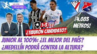 ¿El Fútbol de Junior vs Botafogo lo Hace Candidato ¿Medellín Podrá vs Always Ready LaLigaDeLaLiga [upl. by Terrijo]