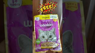 Free WHISKAS Cat Food 🐈 Whiskas Chicken in Gravy Wet food Review [upl. by Eimilb]