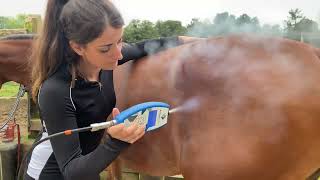 HOYS 2021 Cryotherapy with Alice Ross [upl. by Arvad97]