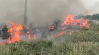 INCENDI IN SICILIA UNEMERGENZA SEMPRE PIU GRAVE [upl. by Favata244]