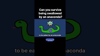 Can you survive being swallowed by an anaconda [upl. by Melonie]