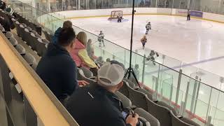 14 Preds vs Hespeler Shamrocks 10uAA  Game 2 [upl. by Tolmach387]