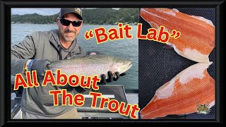 quotBait Labquot TROUT HowToRig Your Gear A to Z Lures Bait Troll Bank Fishing Its ALL Here [upl. by Gora]