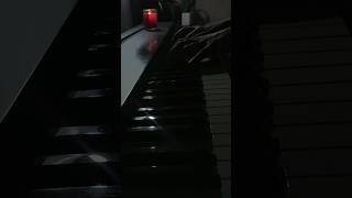 Evanescence  My Immortal Piano Cover [upl. by Anilrac]