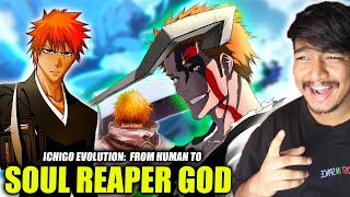 The Evolution of Ichigo Kurosaki From Human to Soul Reaper God Hindi [upl. by Piggy813]