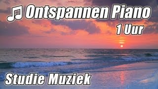 PIANO Instrumentale 1 uur Klassieke Muziek voor Studeren Afspeellijst Mooie Ontspannende Sudie lied [upl. by Fernande]