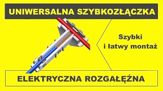 🛠 Koreańskie elektryczne złącze rozgałęziające Donau Elektronik HA20 [upl. by Ariel500]