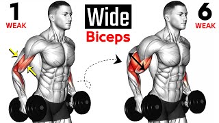 7 BEST Exercises for WIDER BICEPS [upl. by Gipps]