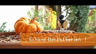 Schöne Herbstferien [upl. by Wilcox]