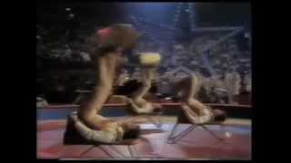 The Castors antipodismo en Hannover 1982  Historia del circo [upl. by Asseret]