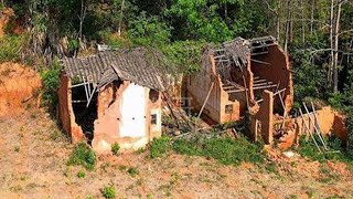 I Rented a 30YearOld House for 250 to Renovate  Clearing Weeds in the Yard  Darkroom Remodel [upl. by Janet]