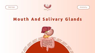 Mouth And Salivary Glands  Anatomy [upl. by Blodget]