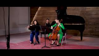 Louise Farrenc Trio op45 1er mvt Farben Trio [upl. by Horton]