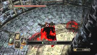 Dark Souls 2  How to Kill Licia of Lindelt and Get Soothing Sunlight [upl. by Hartnett227]