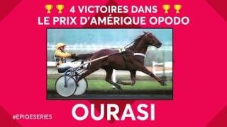 Prix dAmérique 2017 avec TURFFR [upl. by Panaggio]