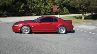 2003 Mustang Cobra FLY BY KENNE BELL loud 700hp [upl. by Zephaniah425]